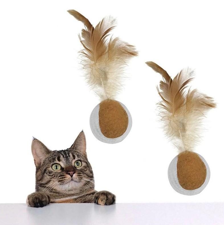 2pcs Balle En Mouvement De Saut Roulant Avec Le Jouet De Chat De Capture De Plume