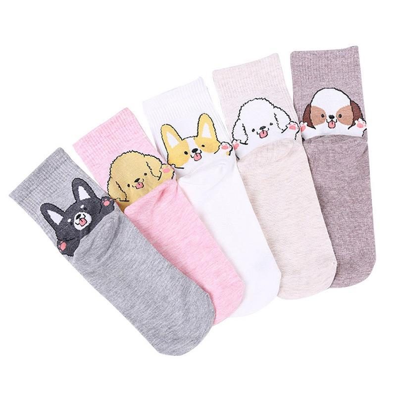 3 Paires De Chaussettes À Motif Chien