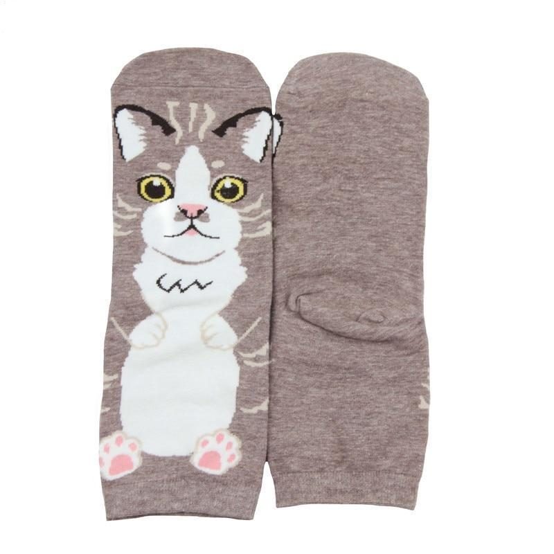 5 Paires De Chaussettes De Style Chat Drôle