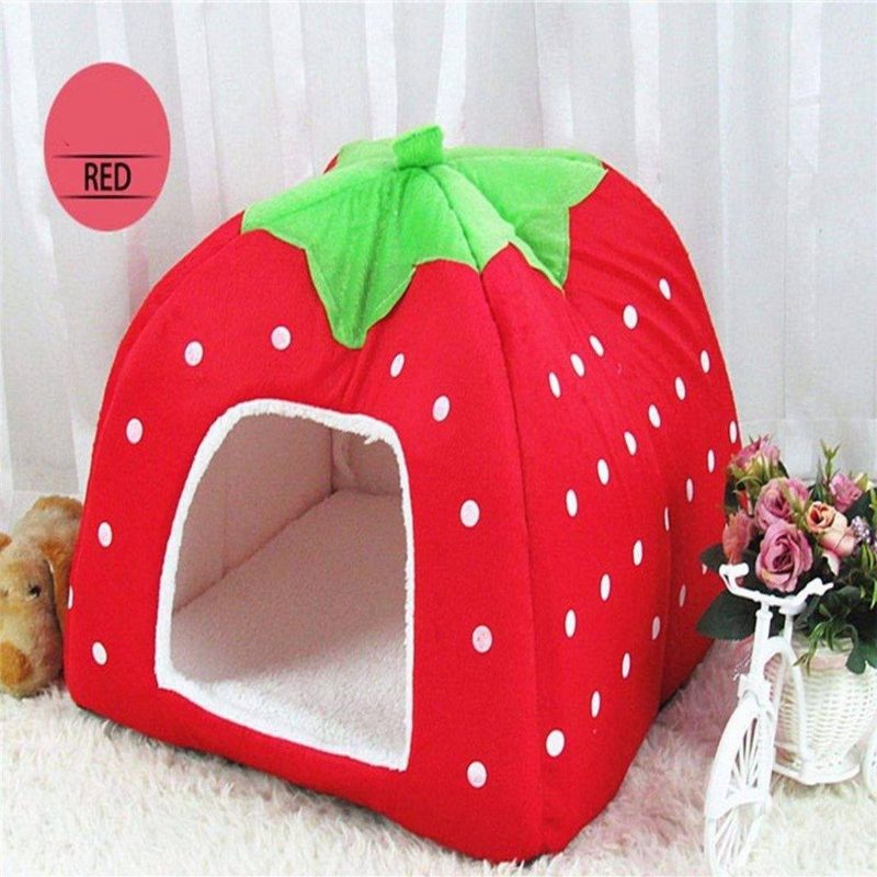 Adorable Lit De Maison Pour Chat Fraise