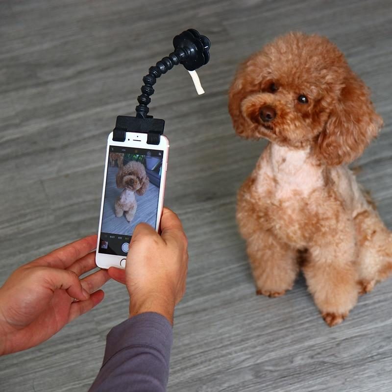 Bâton De Selfie Pour Animaux De Compagnie