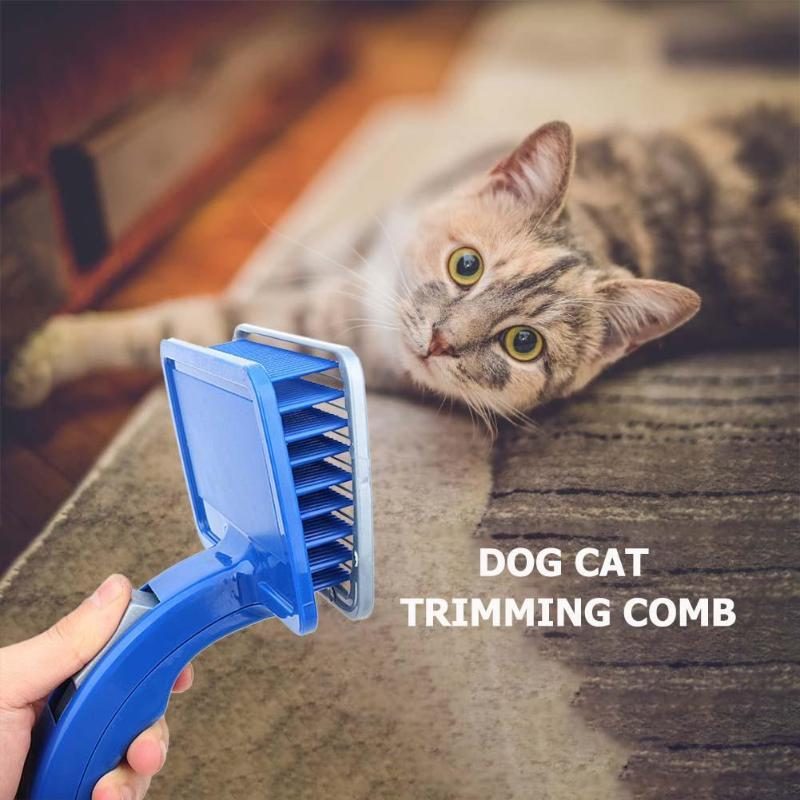 Brosse Épilatoire Pour Animaux De Compagnie