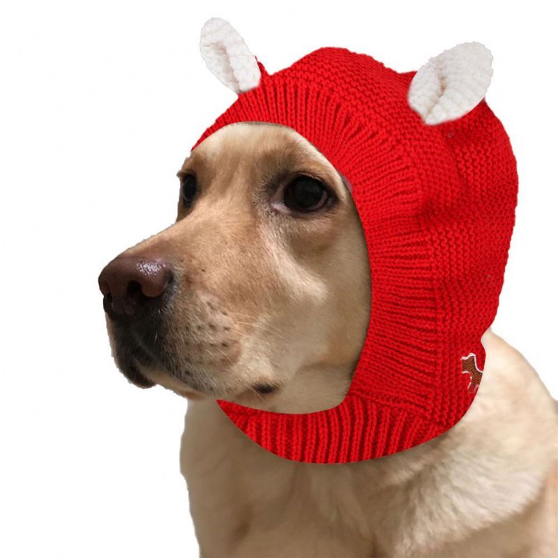 Chapeau Bonnet De Chien Au Crochet