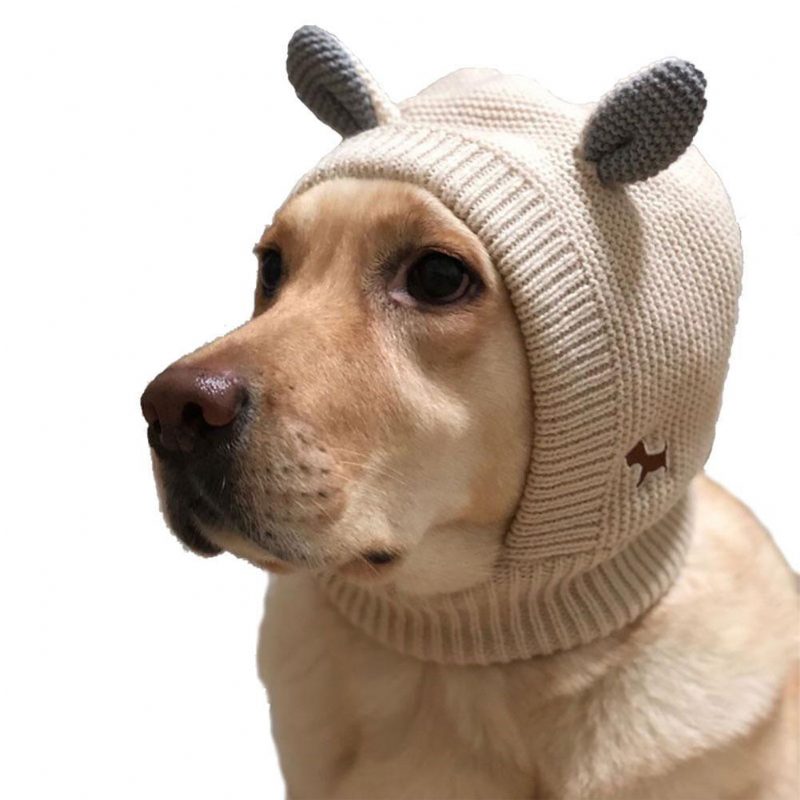 Chapeau Bonnet De Chien Au Crochet