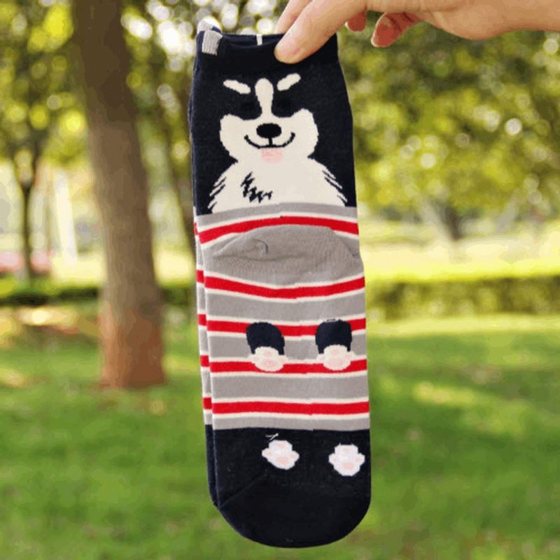 Chaussettes De Couple De Chien De Dessin Animé