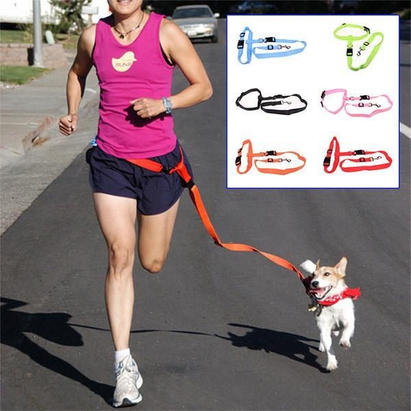 Chien Qui Court / Laisse De Jogging