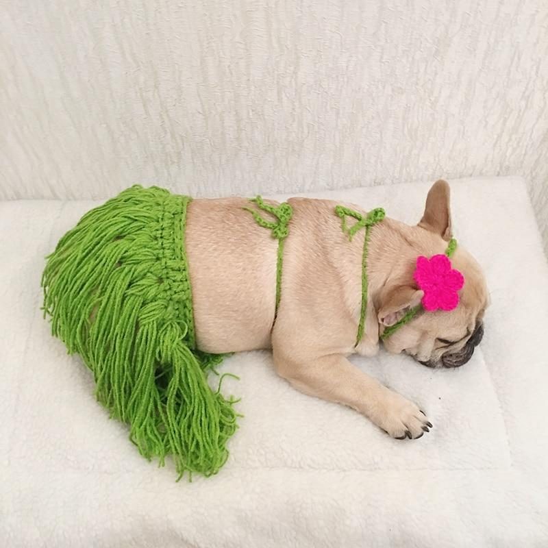 Costume De Jupe Hula Bikini D'été Pour Animaux