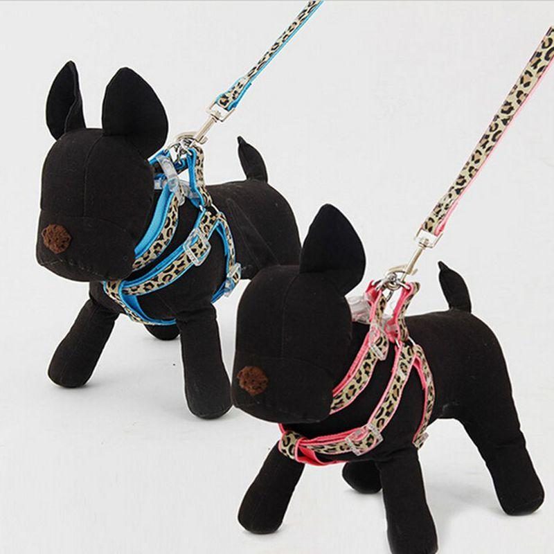 Ensemble De Harnais De Collier De Contrôle De Chien Réglable Laisse Pour Animaux De Compagnie