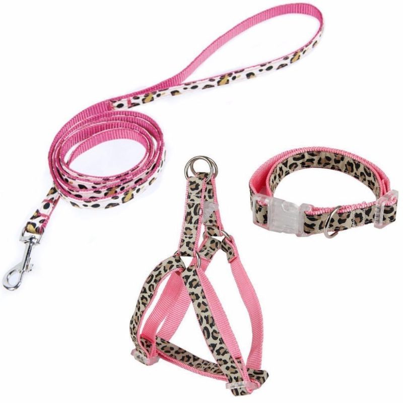 Ensemble De Harnais De Collier De Contrôle De Chien Réglable Laisse Pour Animaux De Compagnie