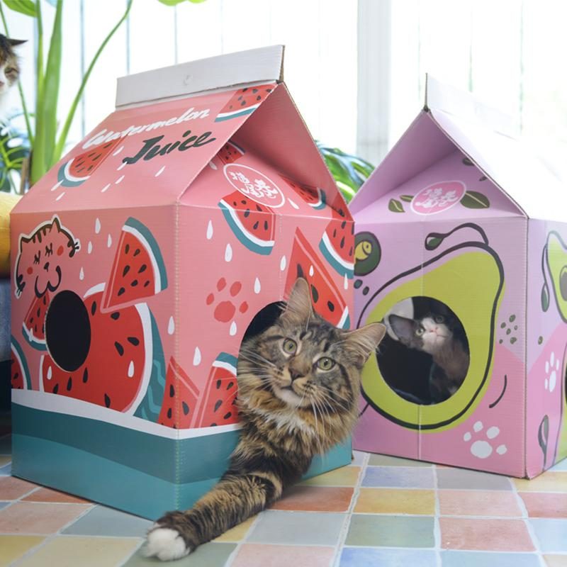 Jolie Maison Pour Animaux De Compagnie Boîte À Jus