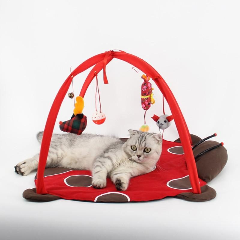 Jouet De Tente De Lit Pour Chats