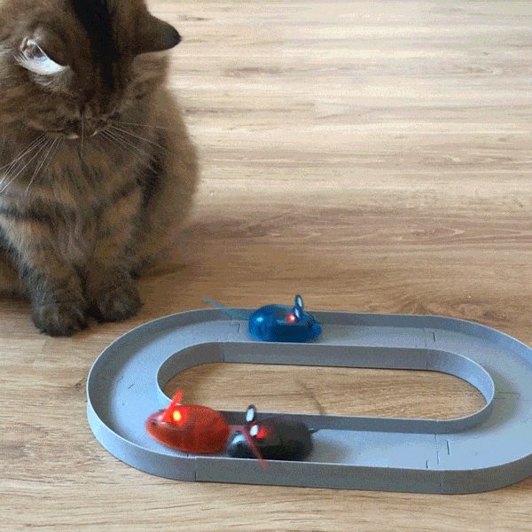 Jouet Électronique De Souris De Chat Avec Puzzle De Piste De Course Délicat