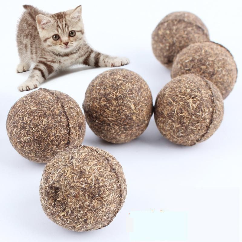 Jouet Pour Chat En Forme De Boule À Cataire Naturelle