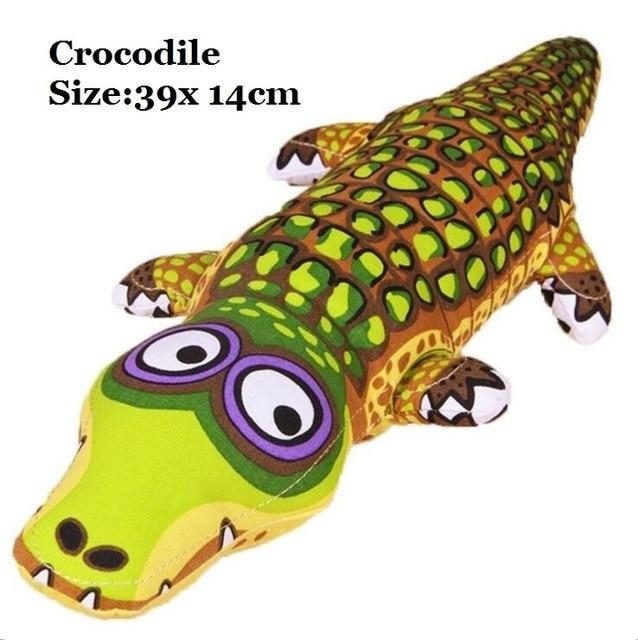 crocodile