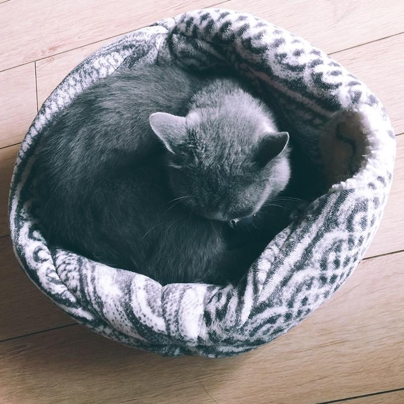 Maison Pour Chat Sphérique Avec Ouverture Ronde