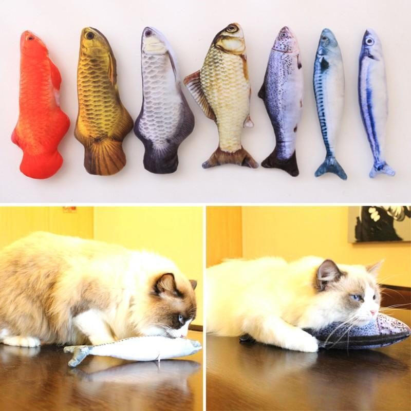 Pour Tous Les Chats Qui Aiment Les Poissons