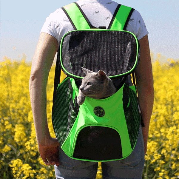 Sac À Dos De Voyage Confortable Et Respirant Pour Animaux De Compagnie