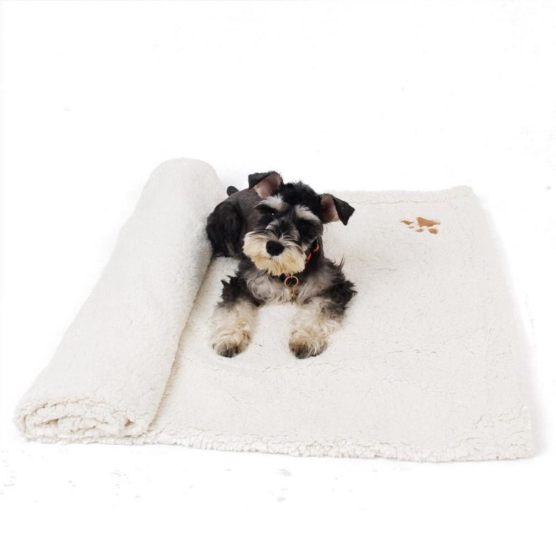 Serviette De Bain Et Couverture Pour Chien