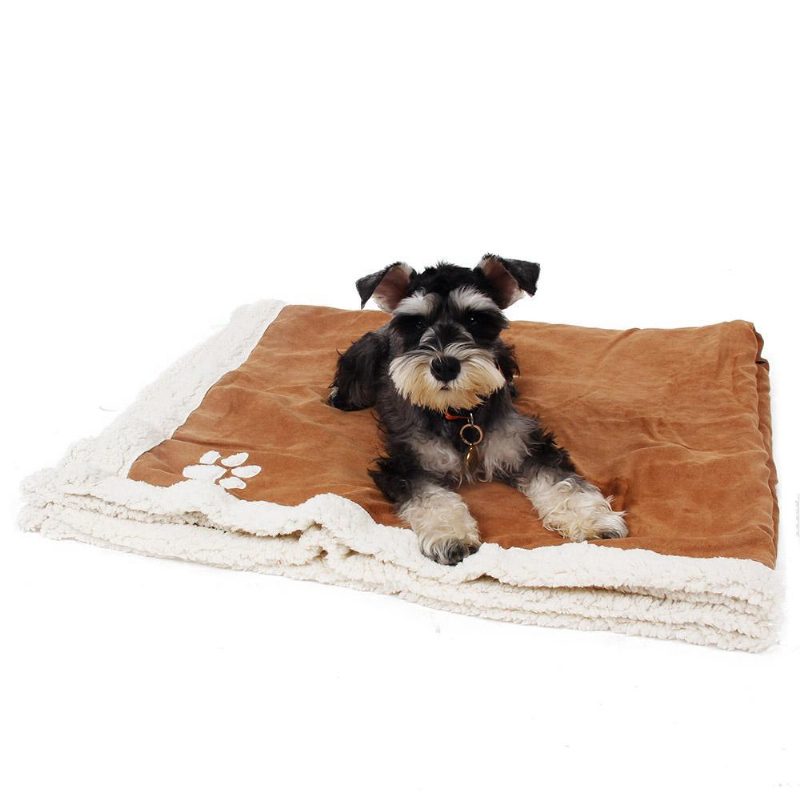 Serviette De Bain Et Couverture Pour Chien