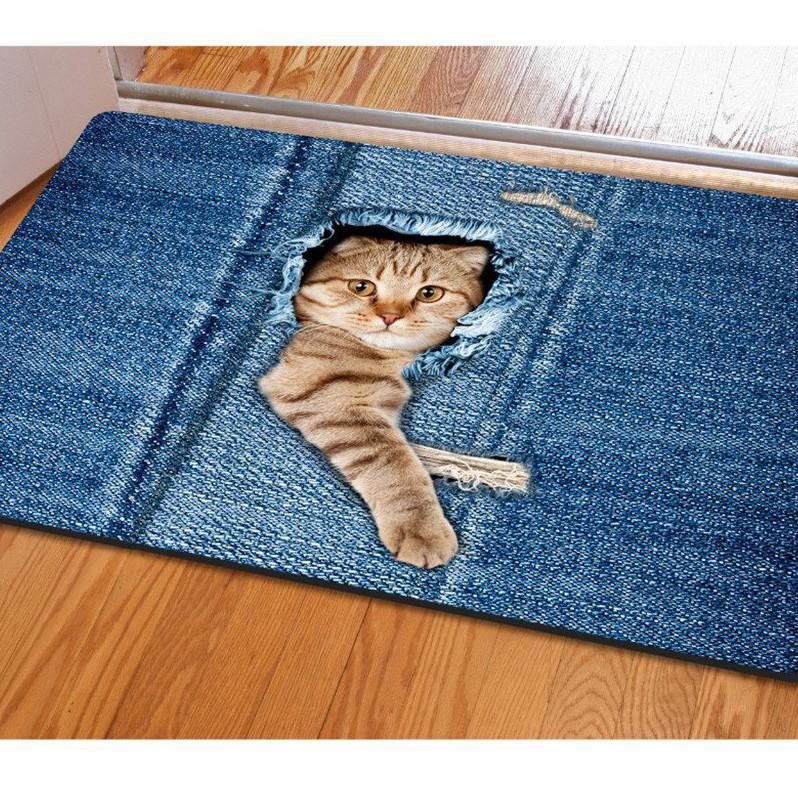 Tapis De Chat Paillassons