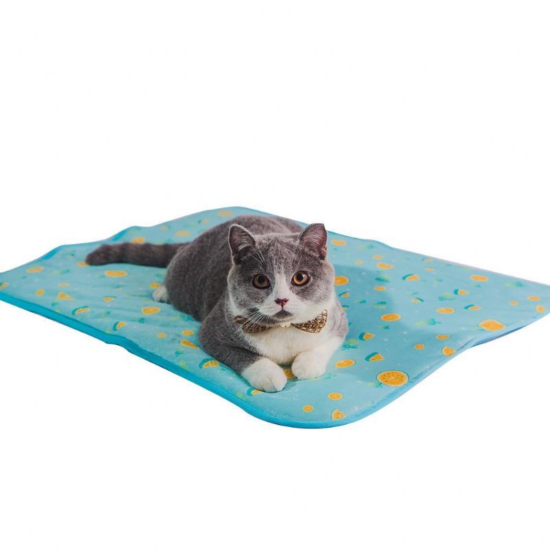 Tapis De Refroidissement D'été Pour Animaux De Compagnie