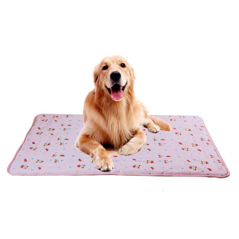 Tapis De Refroidissement D'été Pour Animaux De Compagnie