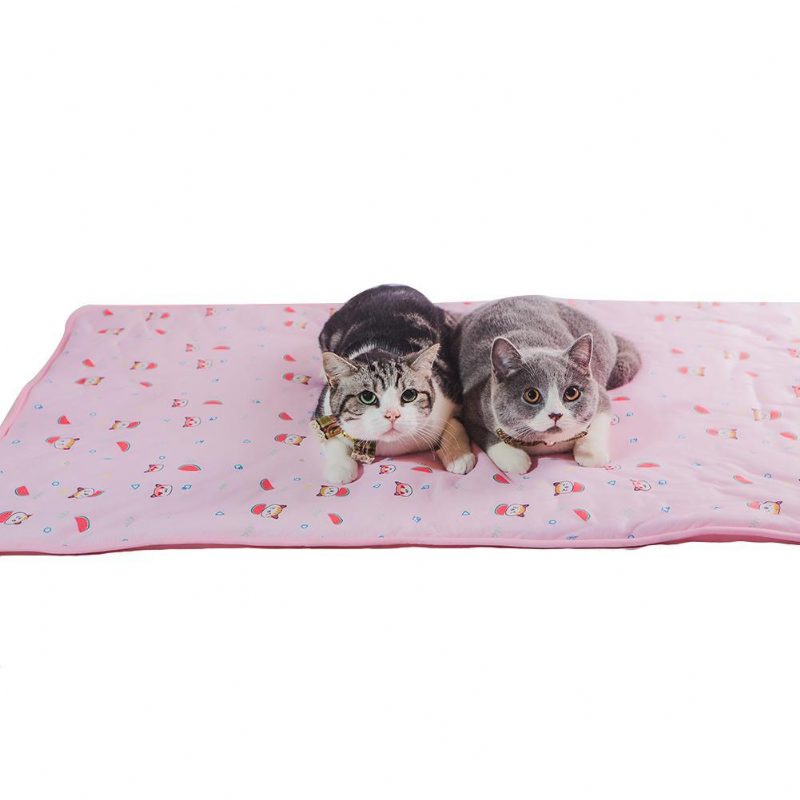 Tapis De Refroidissement D'été Pour Animaux De Compagnie