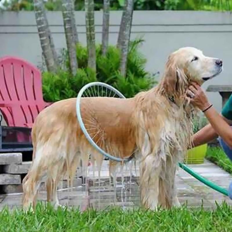 Trousse D'outils De Douche À 360 Degrés Pour Animaux De Compagnie