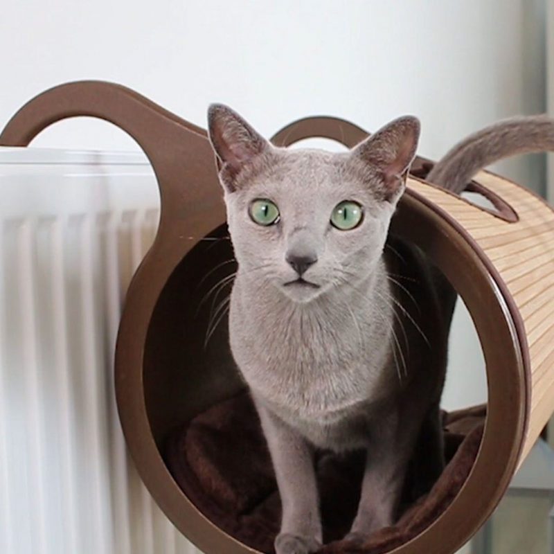 Tunnel De Lit De Chat En Bambou De Radiateur Naturel