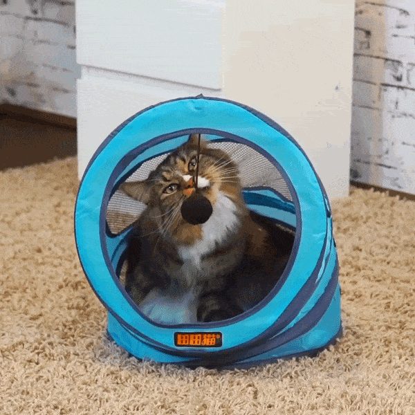 Tunnel De Lit Pliable Pour Chat