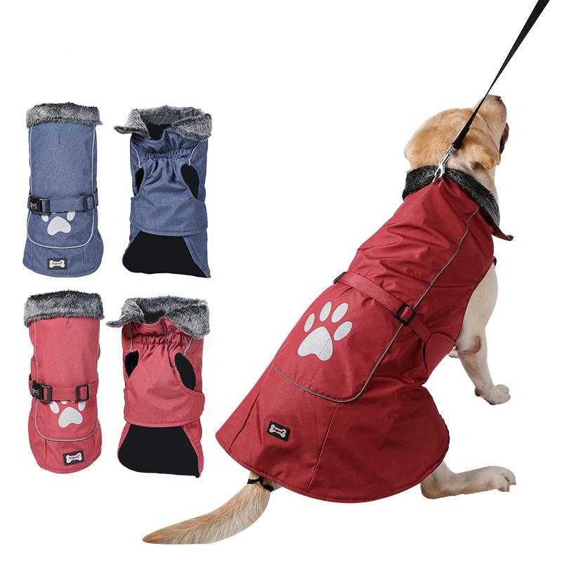 Veste Imperméable Pour Chien