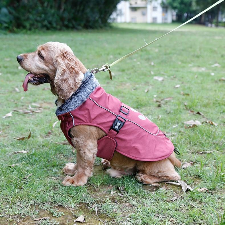 Veste Imperméable Pour Chien