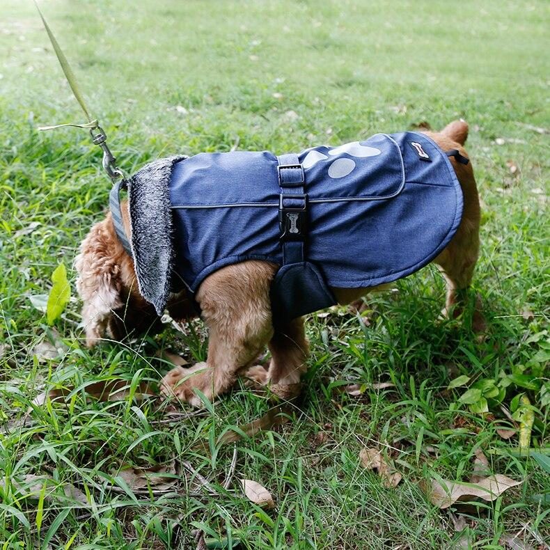 Veste Imperméable Pour Chien